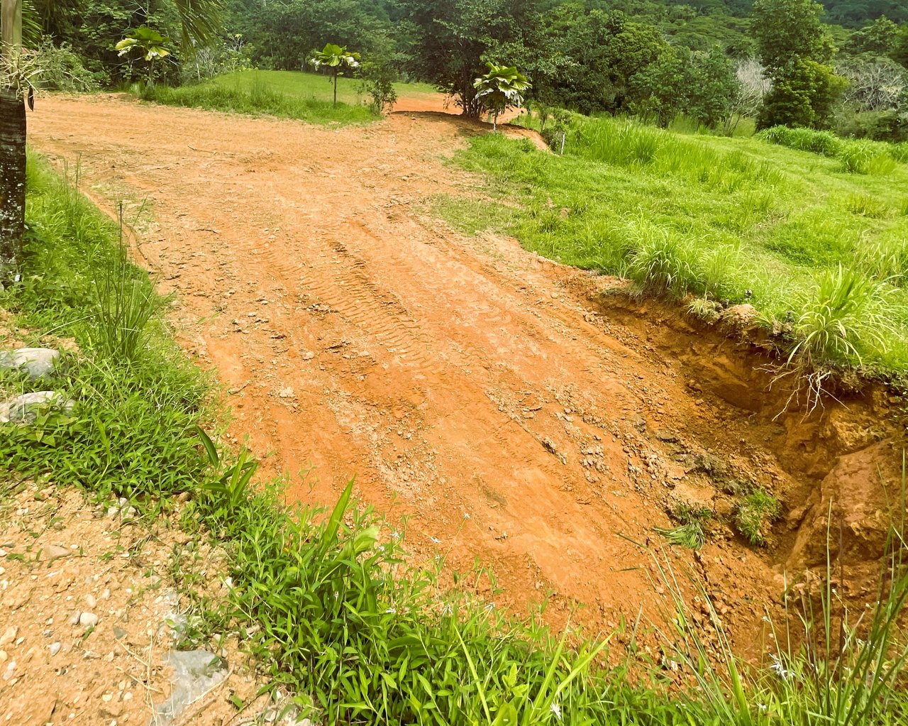 0.22 ACRES – Flat, Ready-to-Build Land with Ocean Glimpse & Quiet Community Setting!!!!