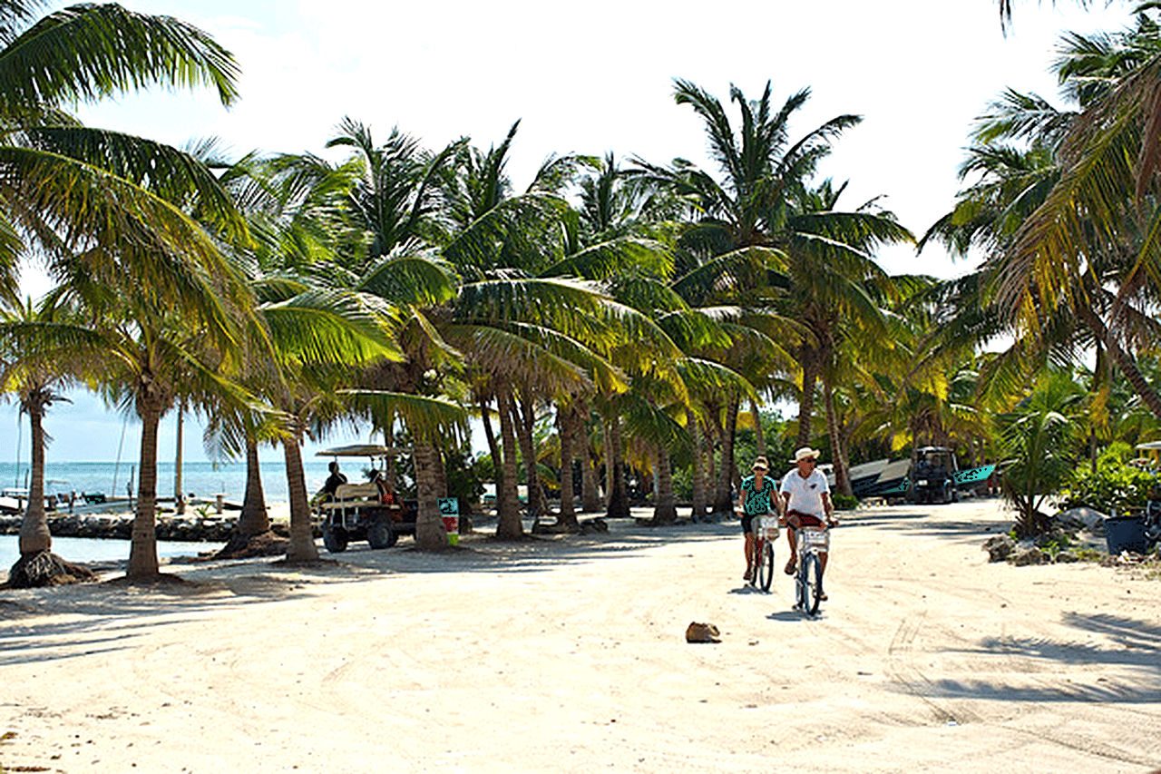 North Ambergris Caye 