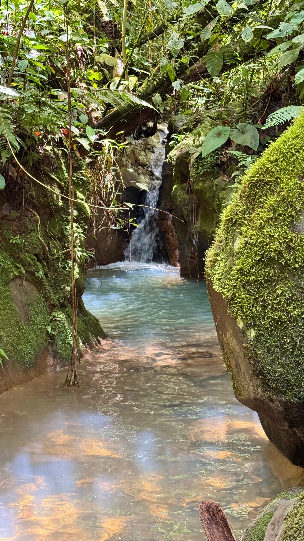Spring, Waterfalls and more!  Farm in San Vito Limoncito!