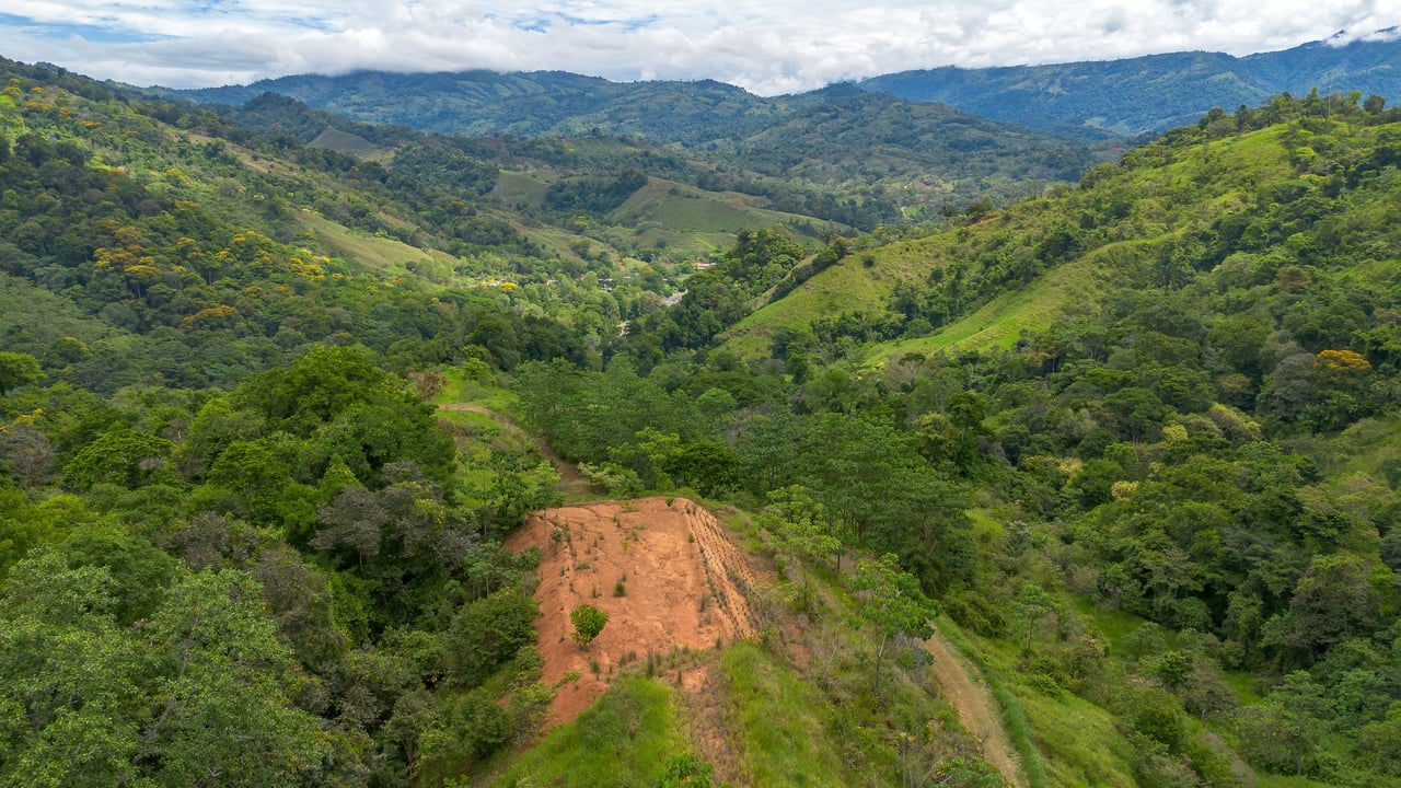 60 Hectares in Platanillo 
