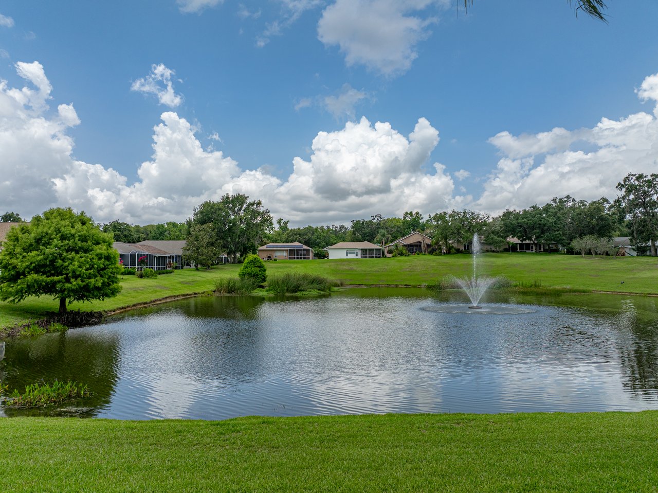 12413 WOODLANDS CIR