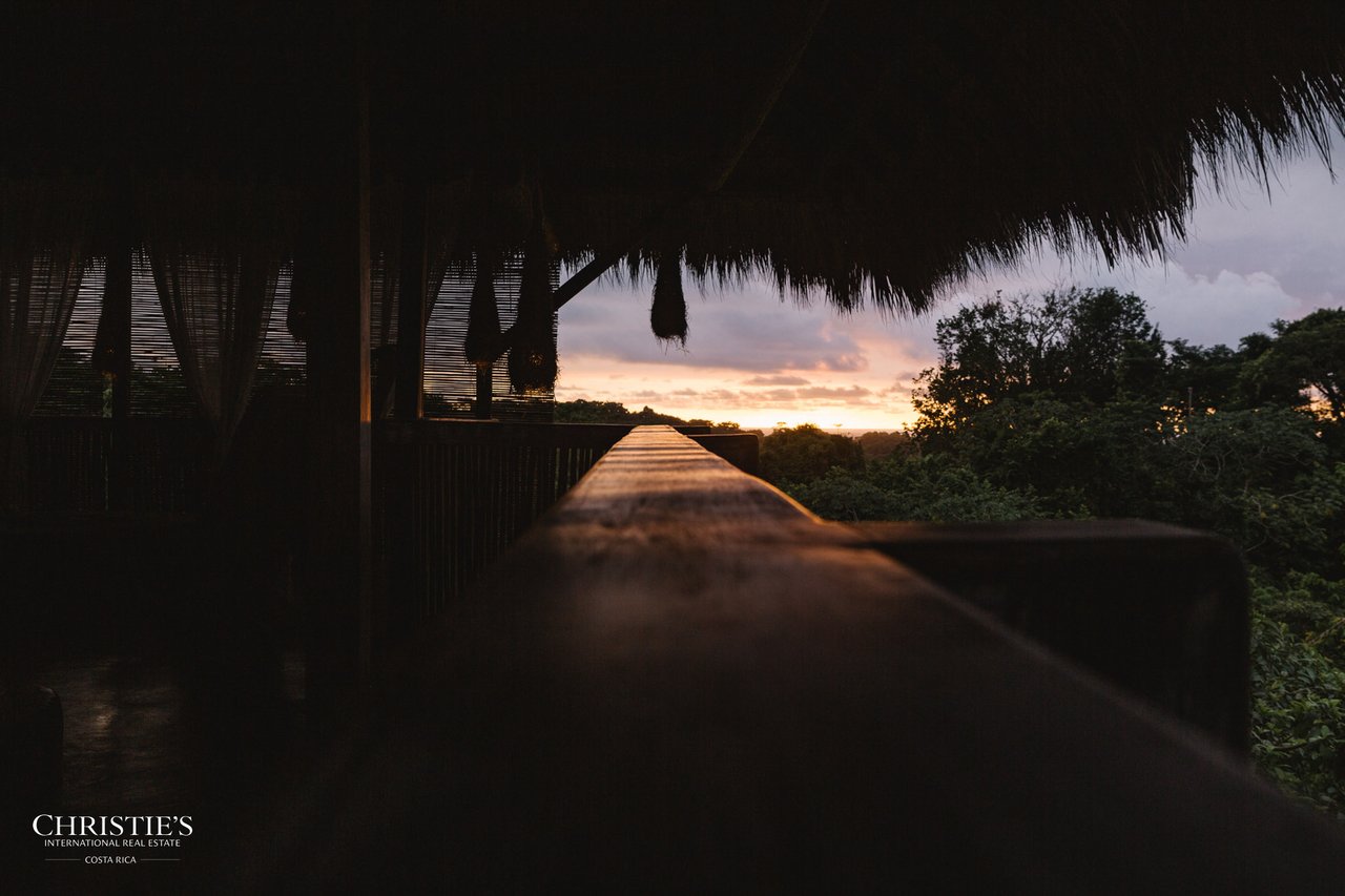 Villa Animales – Luxury Jungle Sanctuary