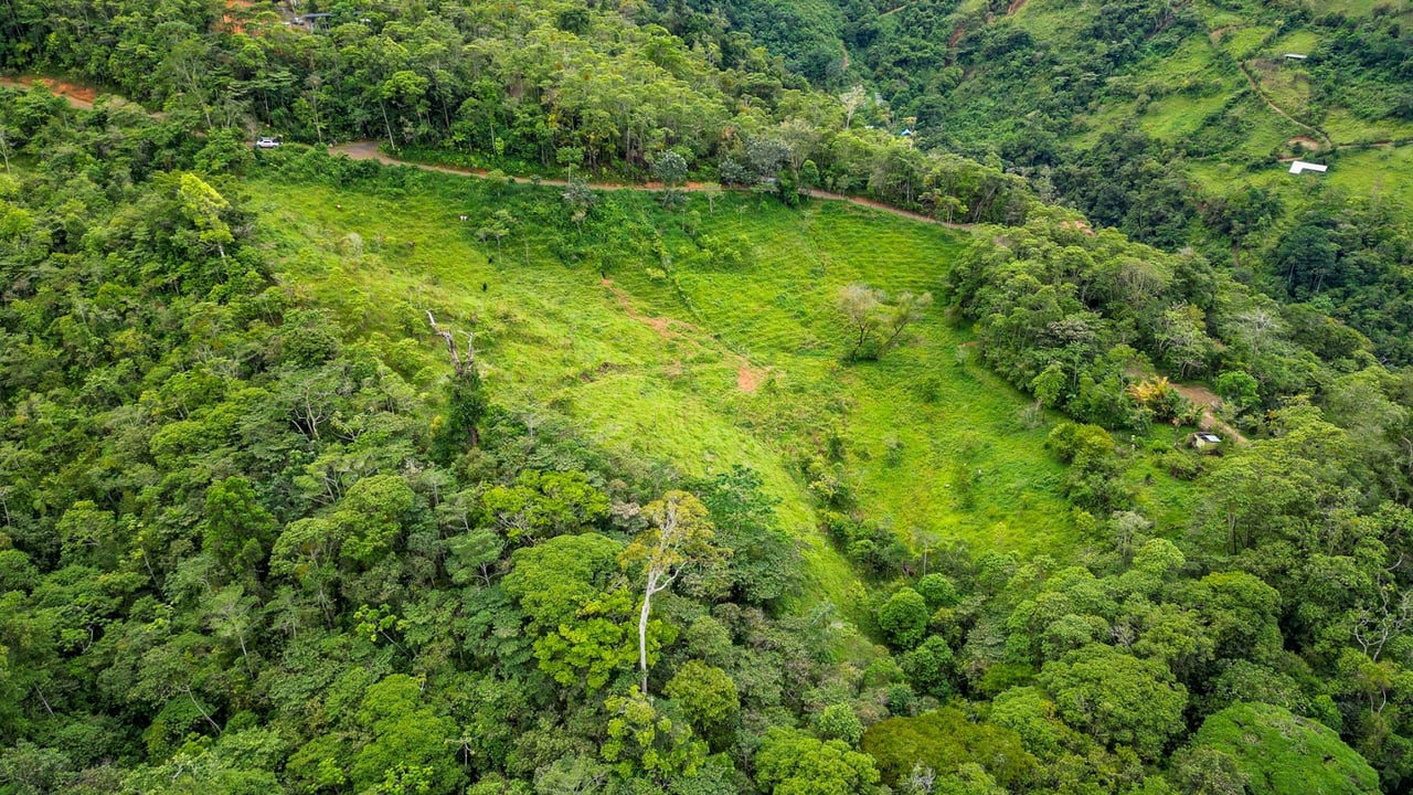 Riverfront Mountain View Acreage, Perez Zeledon, San Jose