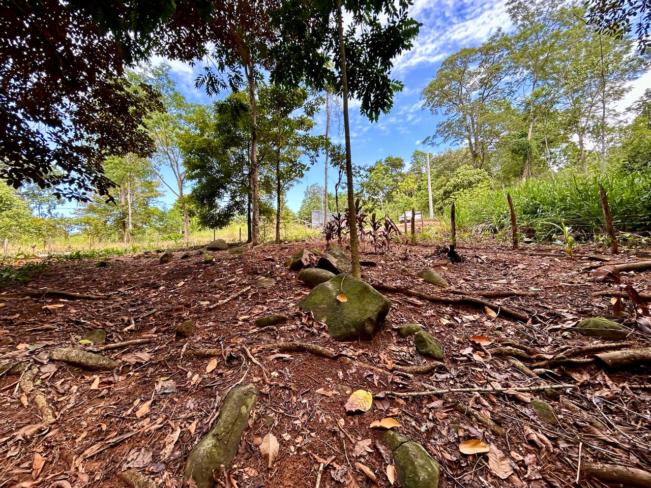 Jungle Side Lots in Uvita, Walking Distance to Amenities