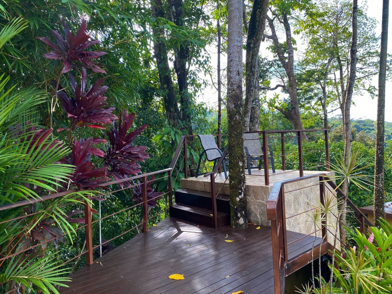 Jungle Villa with Infinity Pool, Uvita, Puntarenas