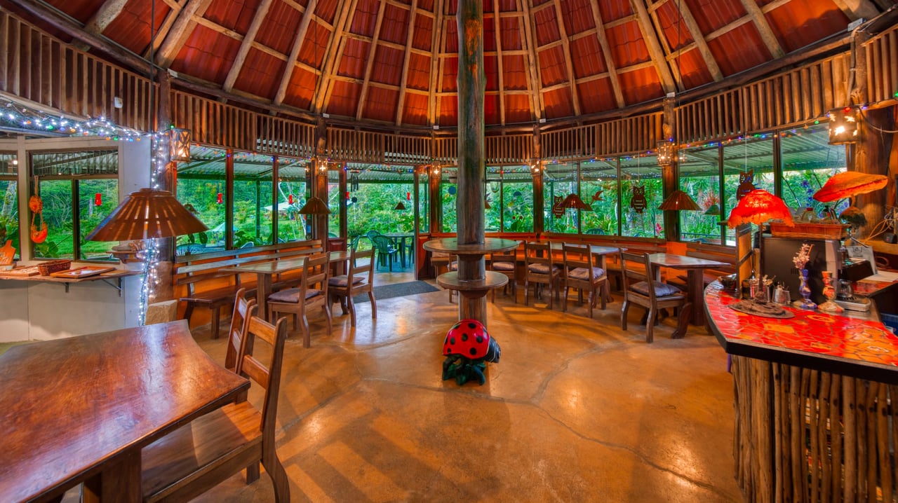 The Lucky Bug | Boutique Hotel & Investment Opportunity in Nuevo Arenal