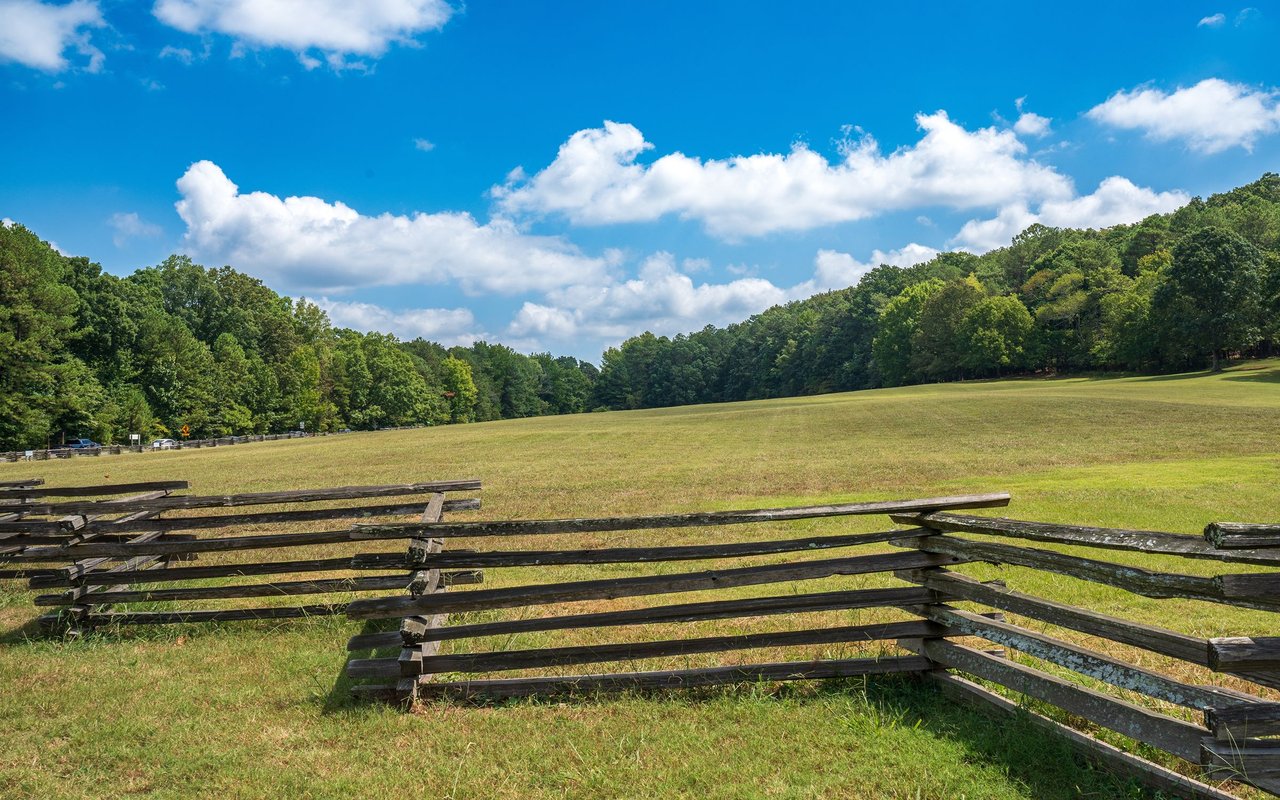 Grassy field and tree line behind a split-rail wooden fence.