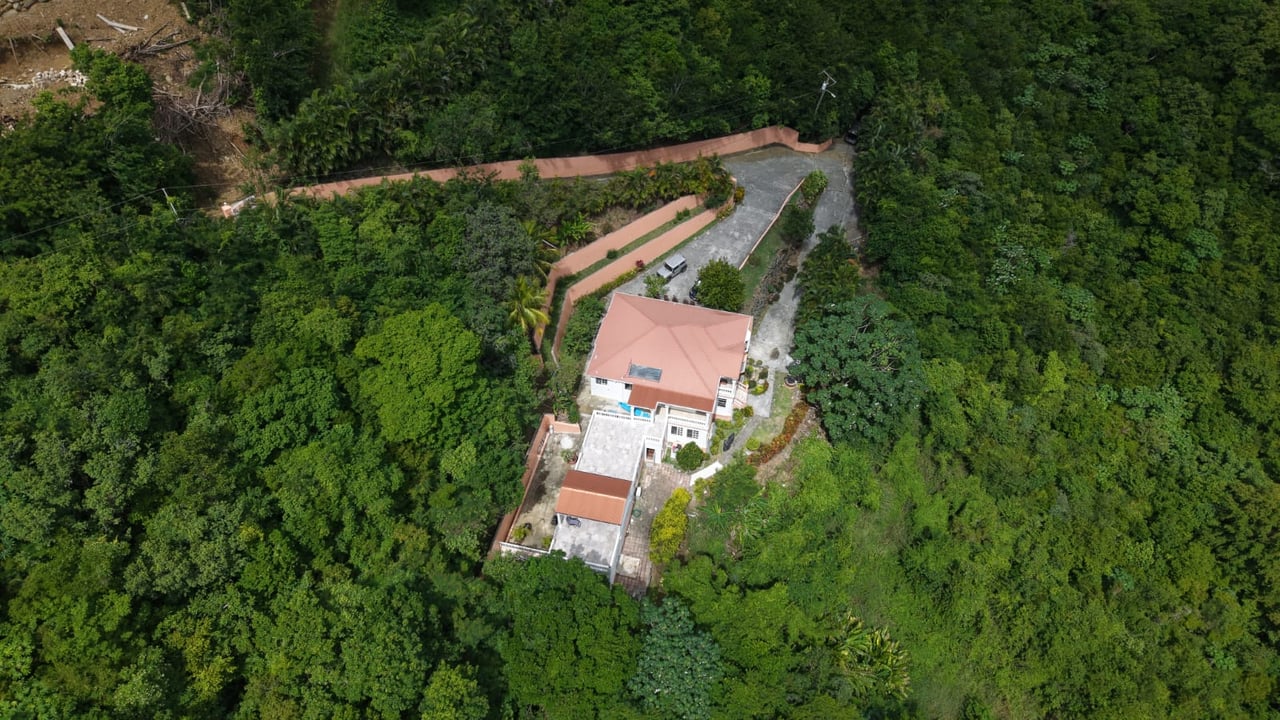 1084 Private Estate with Income