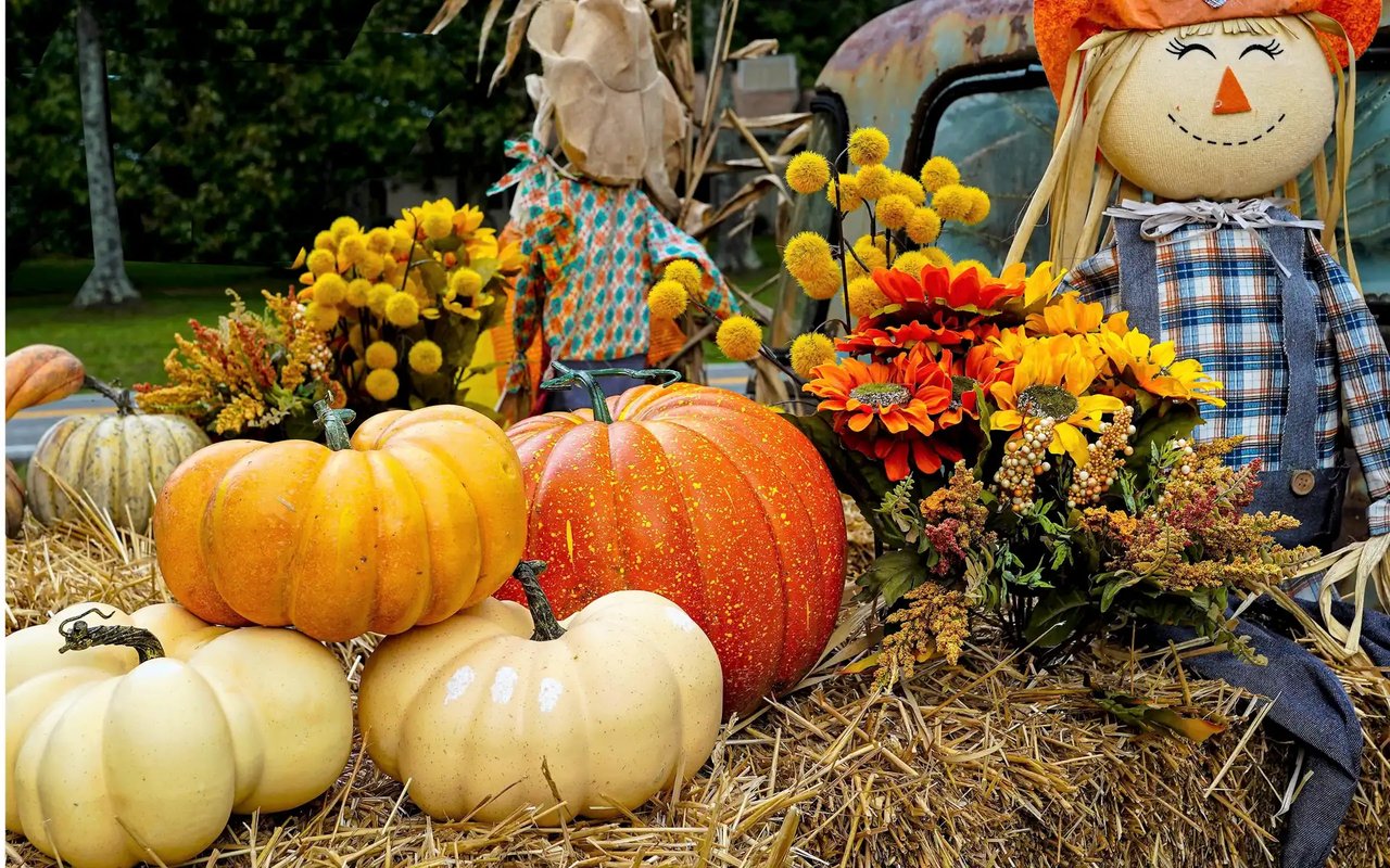 From Patch to Porch: Activities and Attractions at Local Patches around Austin