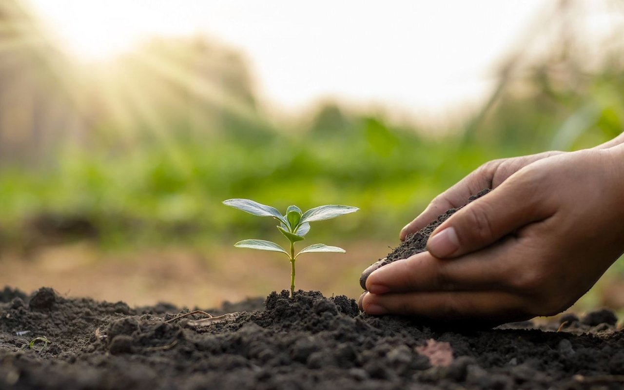 Meet 2022’s Plants of the Year