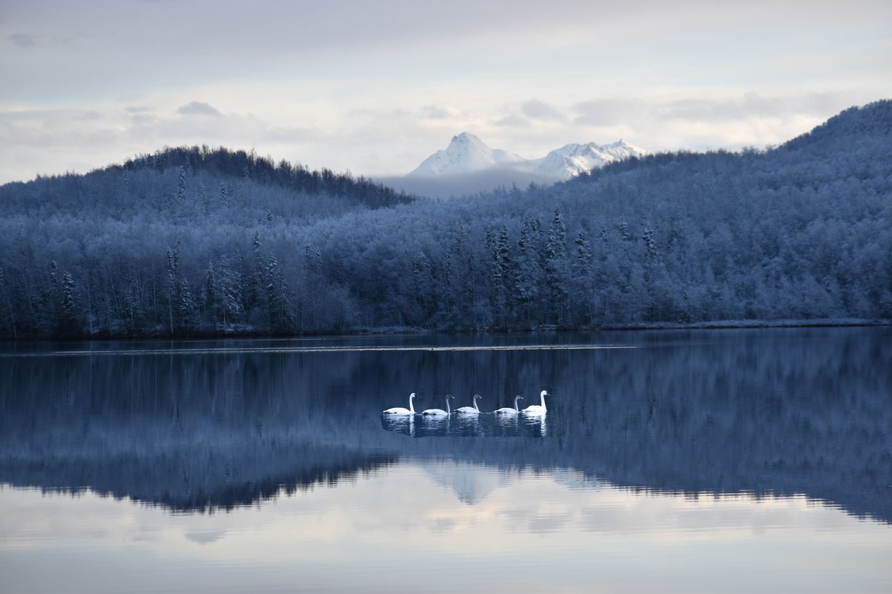 Chugiak