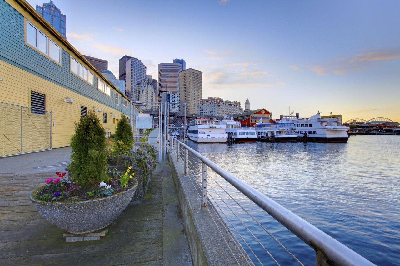 🏡 Why People Fall in Love With Seattle Slowly