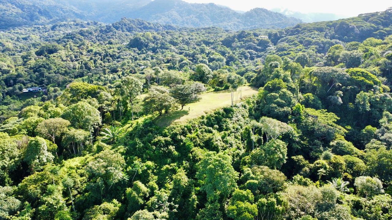 3.41 Acres, Ocean View Property In Ojochal With Legal Water!