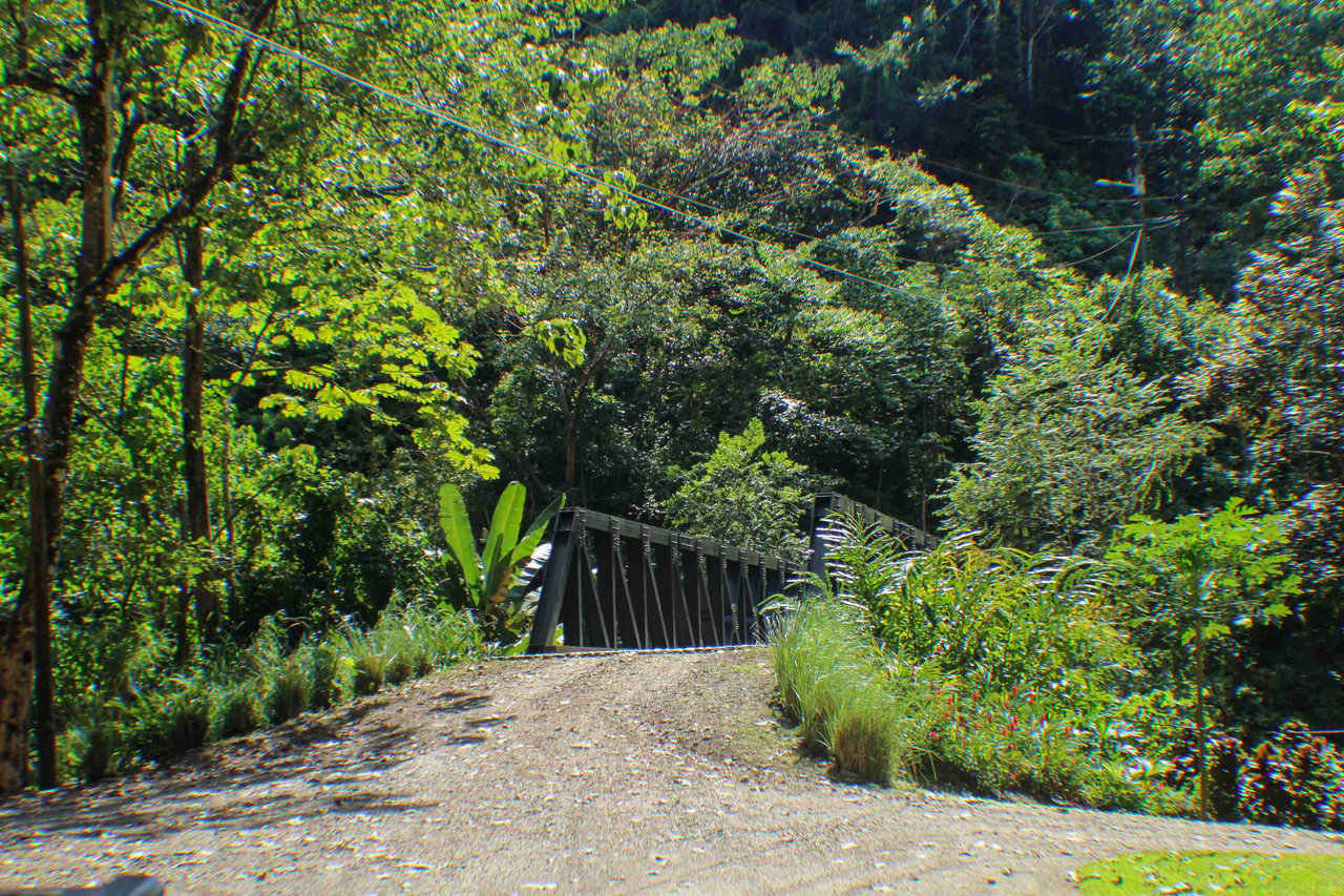 Waterfall Home in Private Community Affordable Jungle Home