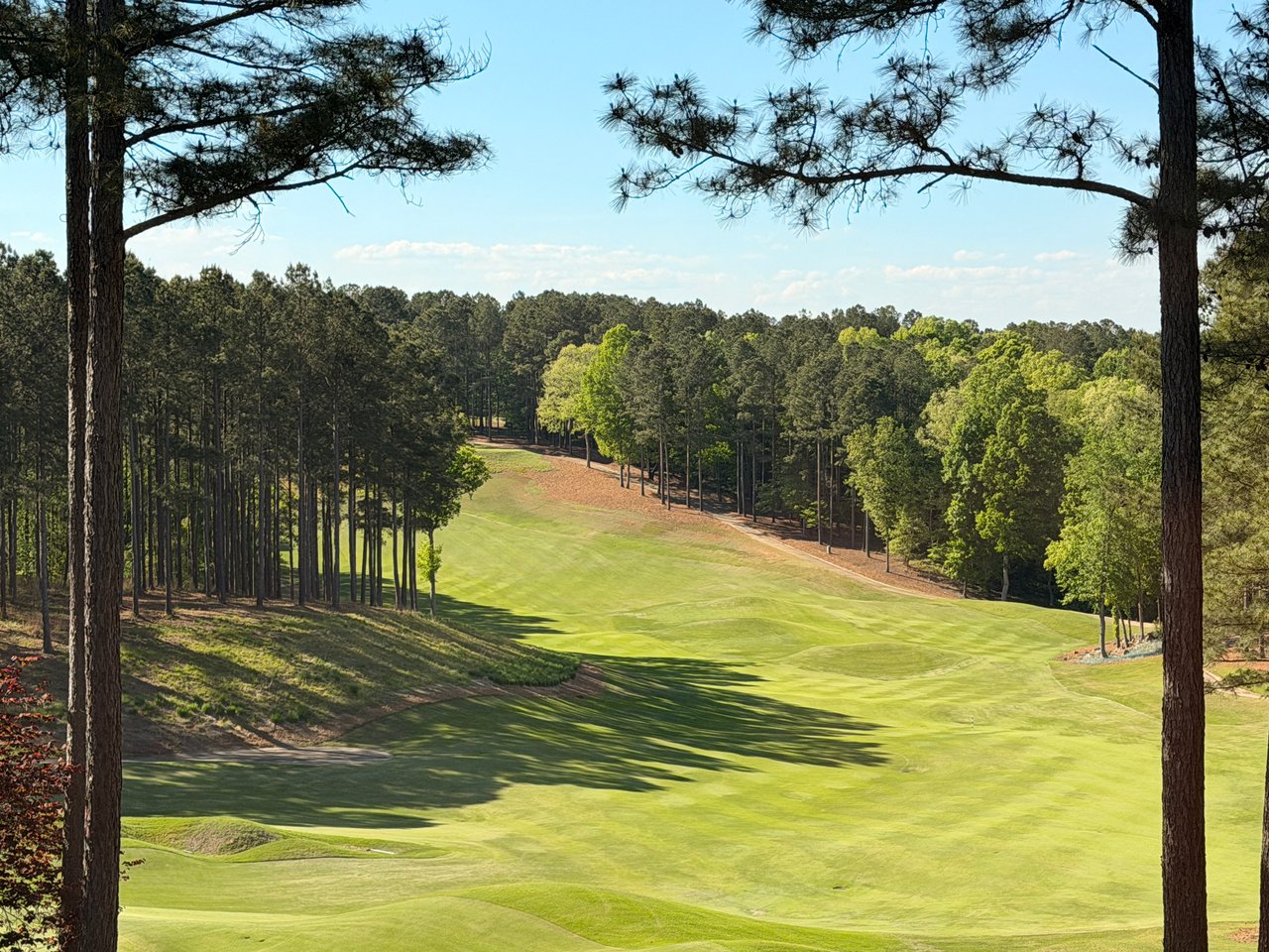 Golf Course Homes and Lots