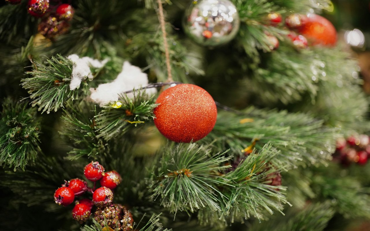 Tree Lightings and Holiday Festivities Around the Region: Celebrate the Magic of the Season