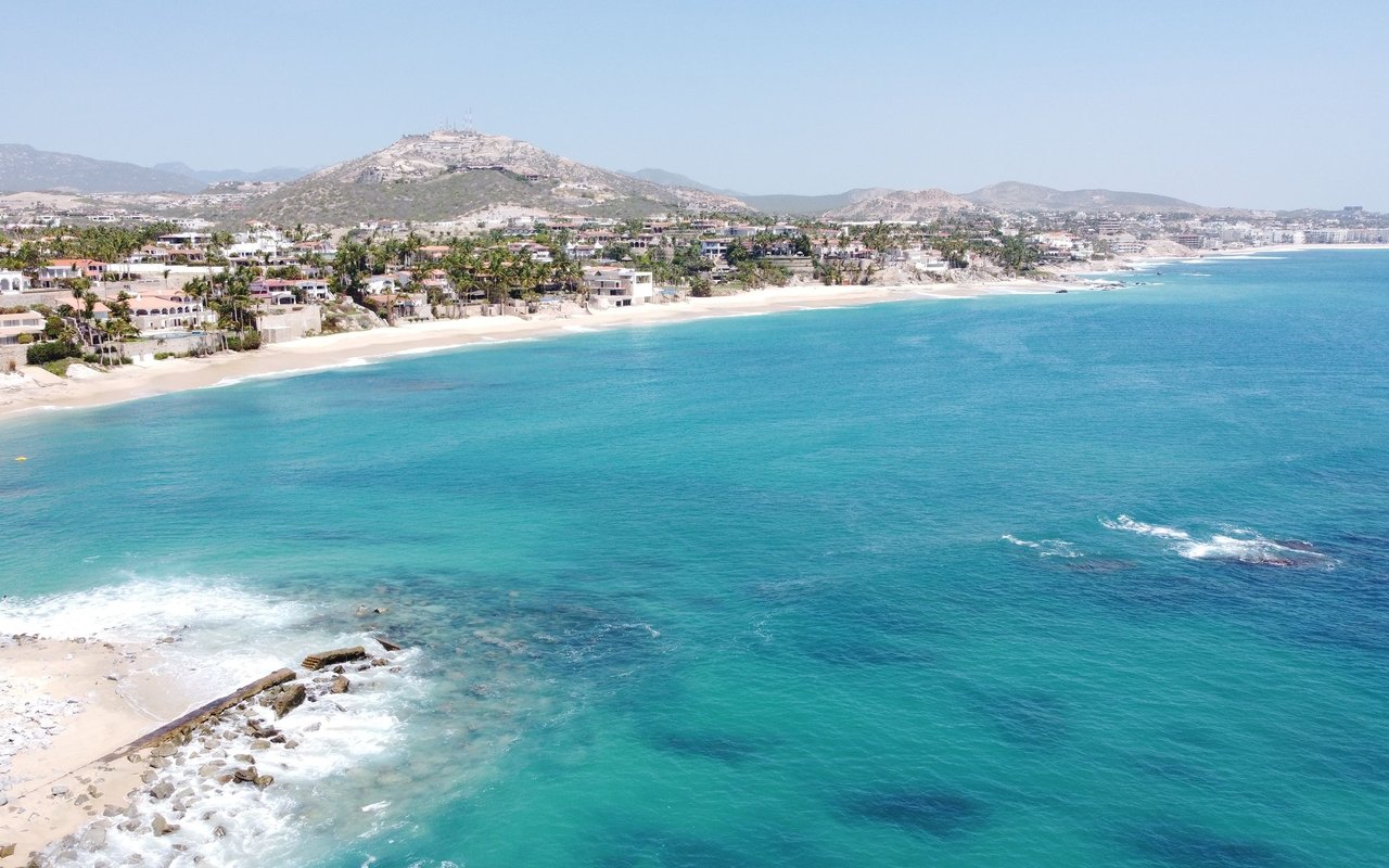 Palmilla
