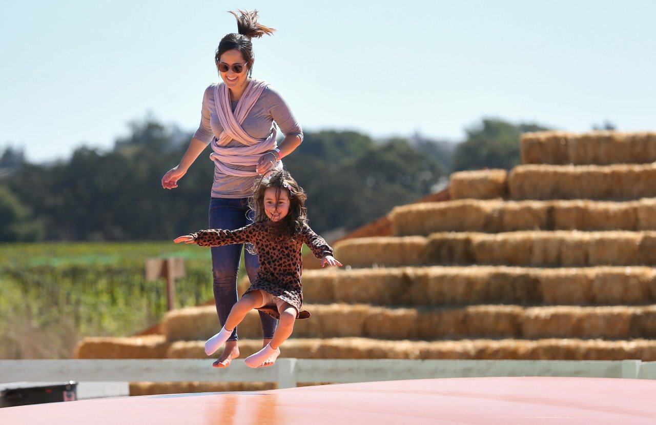 The Ultimate Guide to Sonoma County Pumpkin Patches in 2025