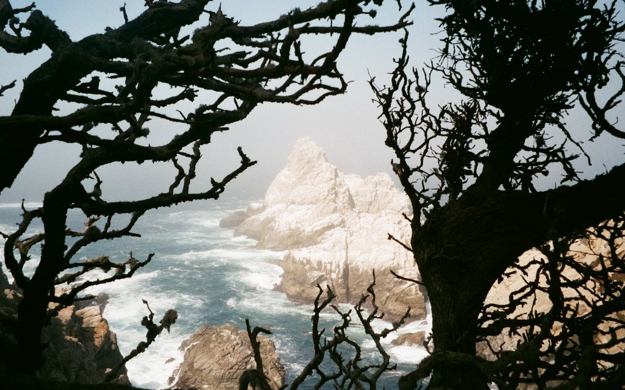 Outdoor Adventures on the Coast