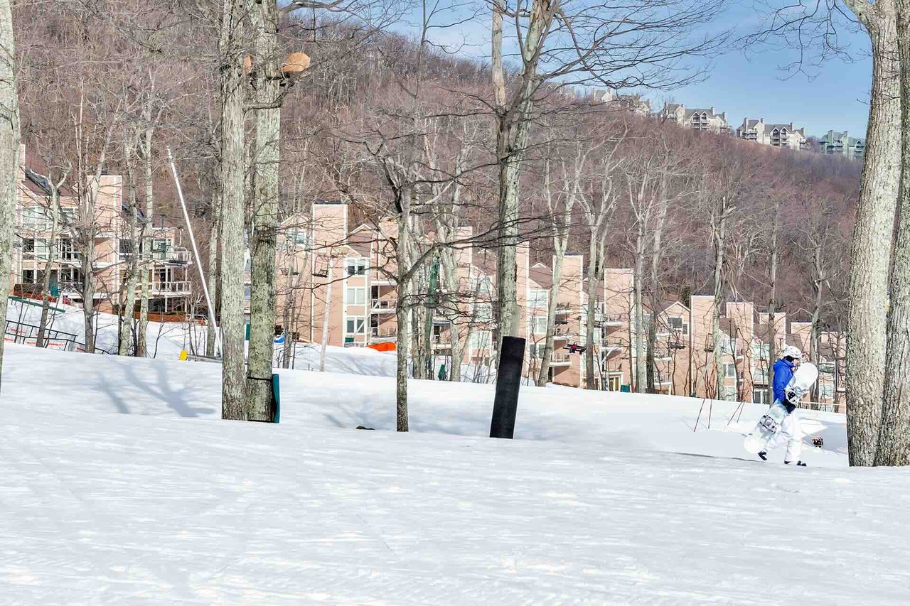 Wintergreen