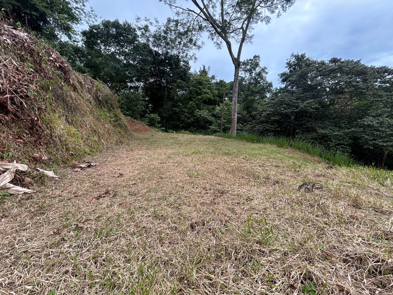 Beautiful Lot in Phase 9 Ojochal, Gated Communuity - NOW WITH LEGAL WATER