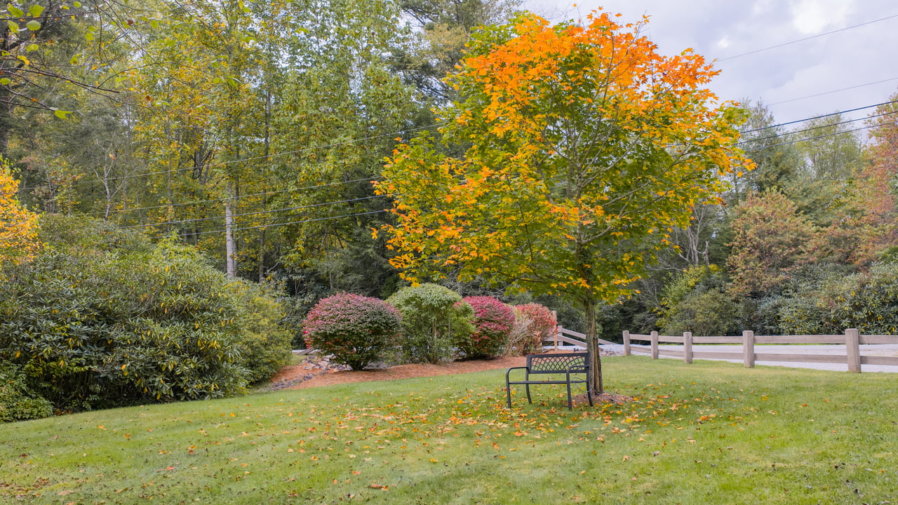 75 Hickory Dr