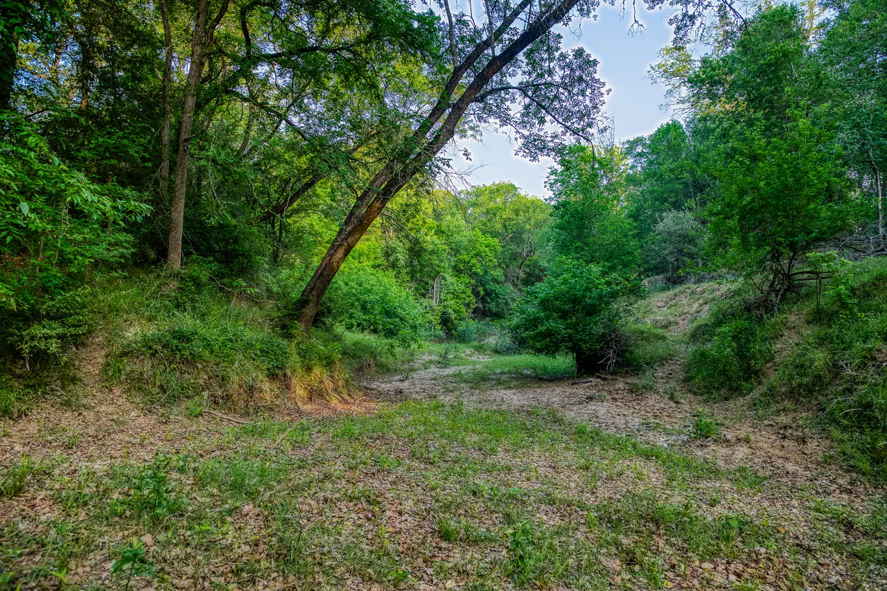 Revival Ranch TX