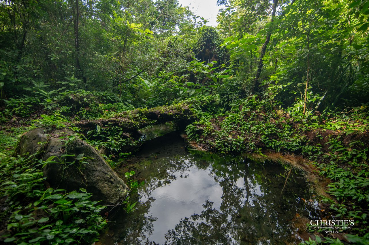 Origins Mineral: A Rare Landholding in Guanacaste’s Volcanic Highlands