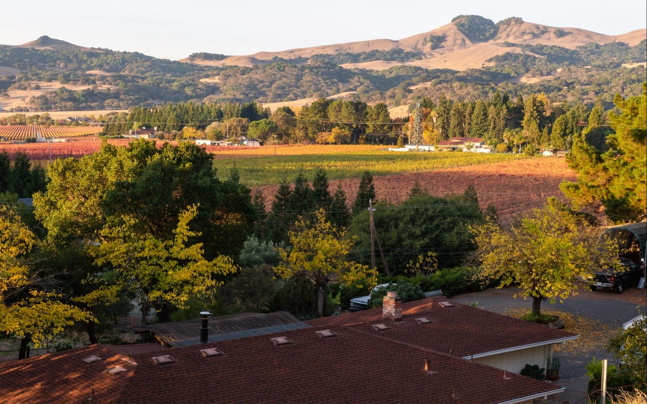 Solano