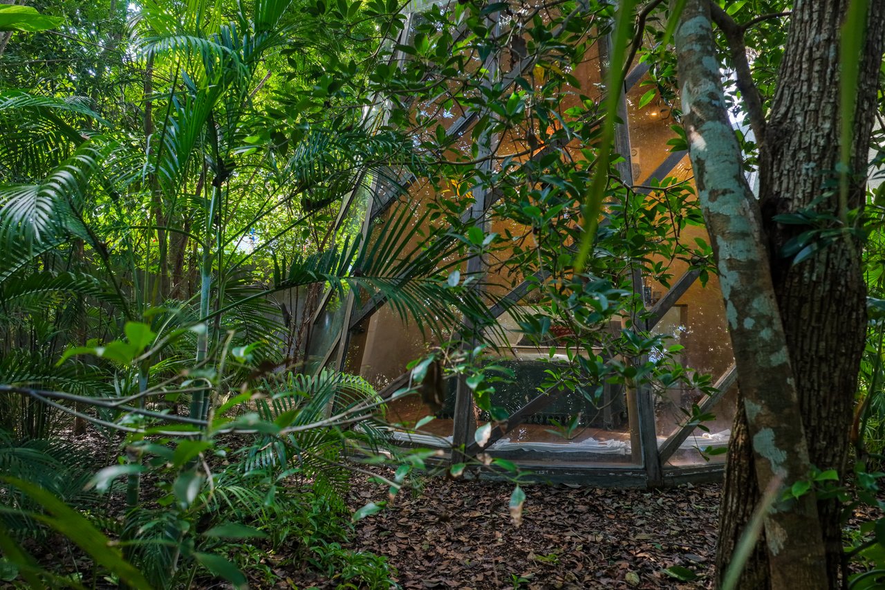 SELVATIK JUNGLE PODS 