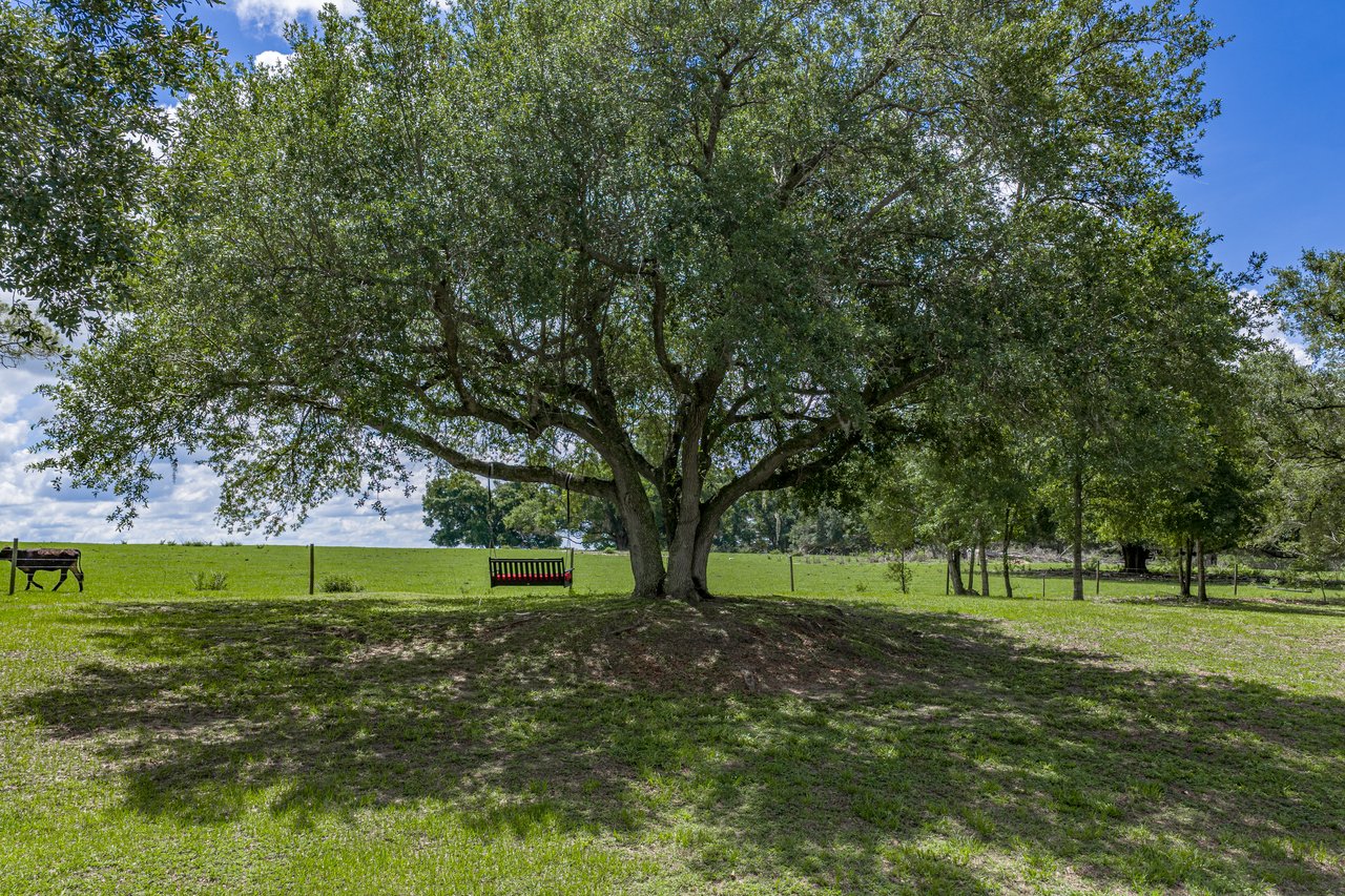 37624 SKY RIDGE CIR