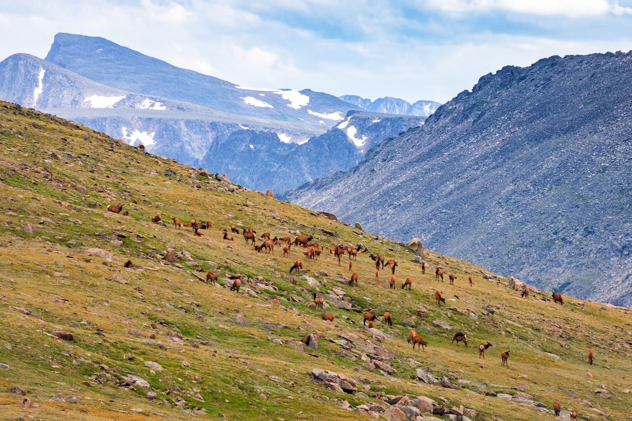 Where the Road Meets the Sky: Driving Trail Ridge Road