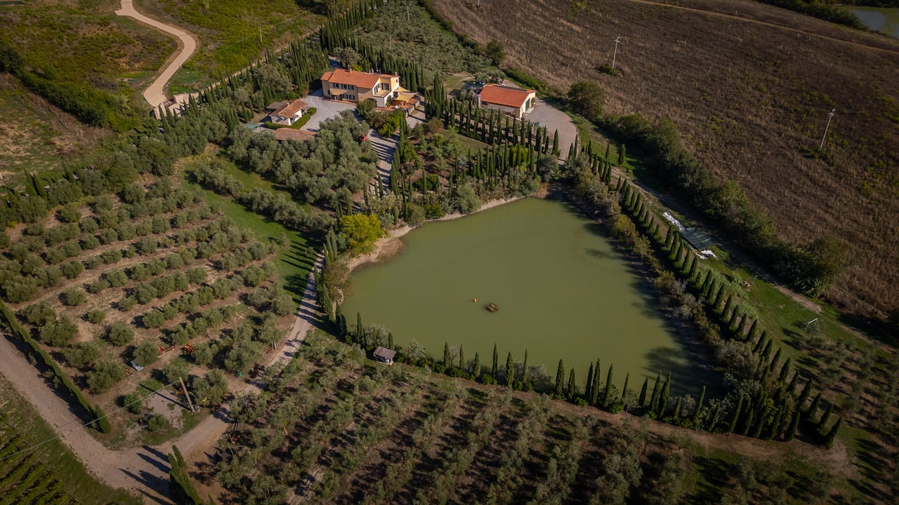 IL LEONE DEL FIORA