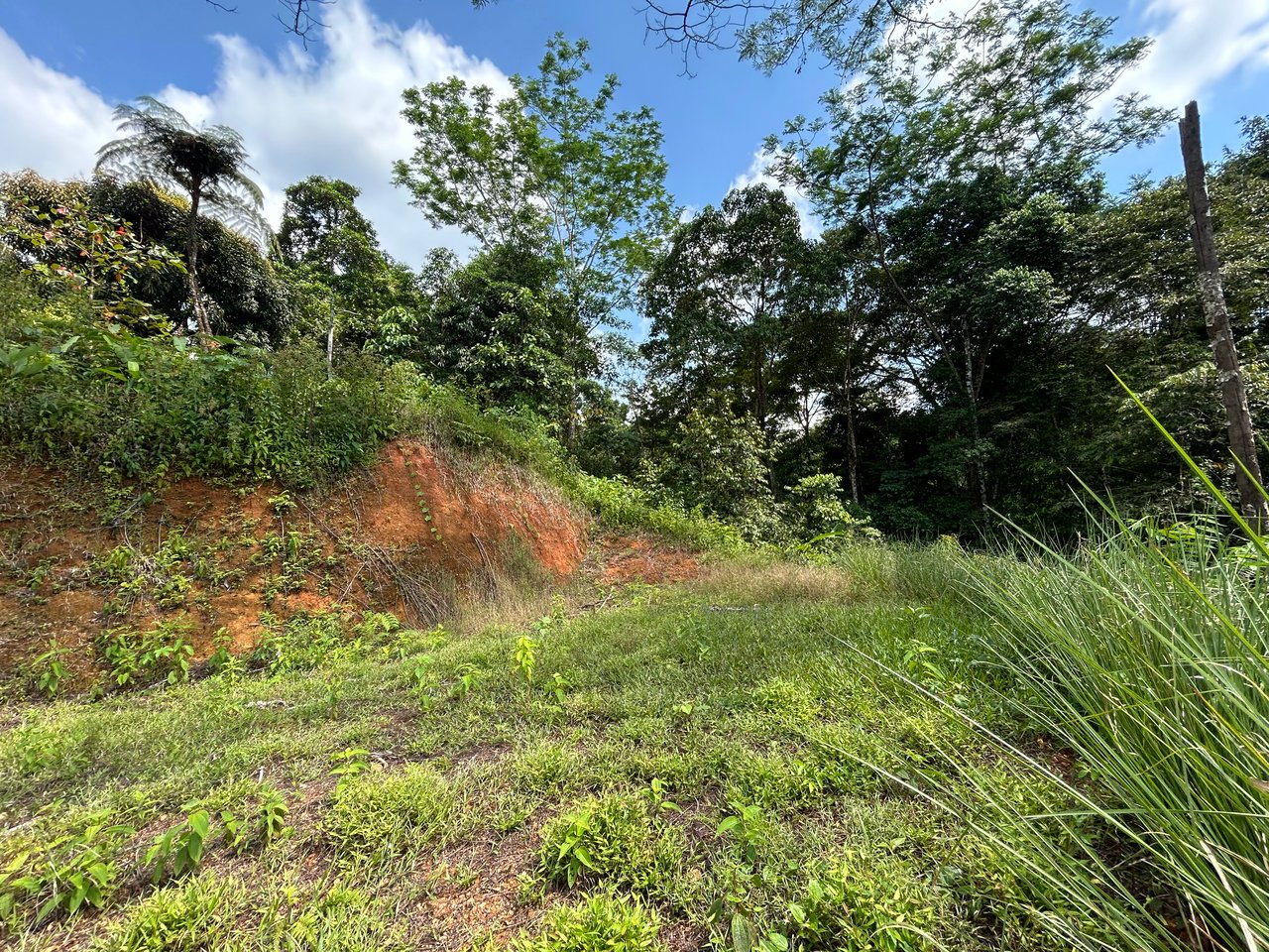 Beautiful Lot in Phase 9 Ojochal, Gated Communuity 