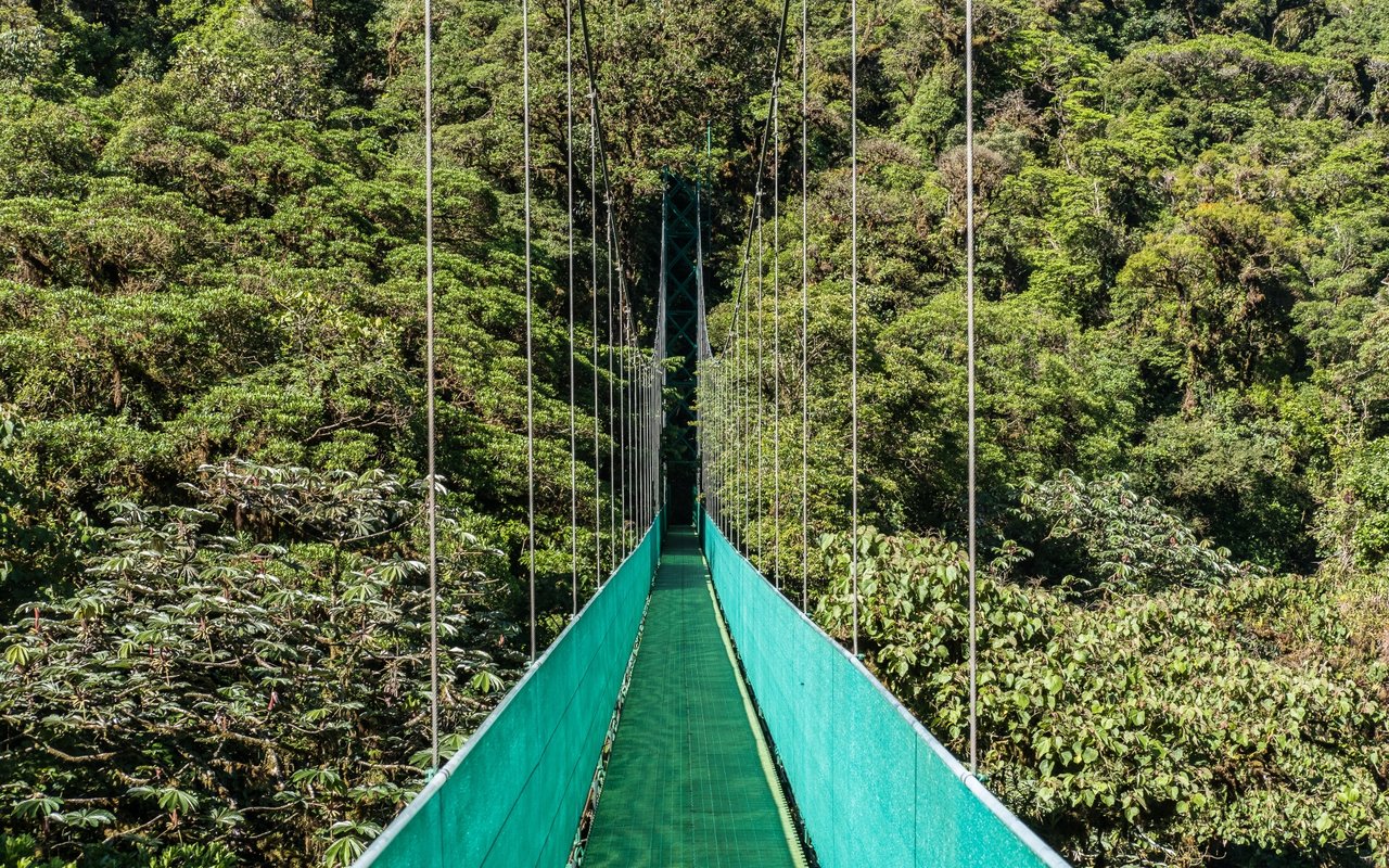 Monteverde