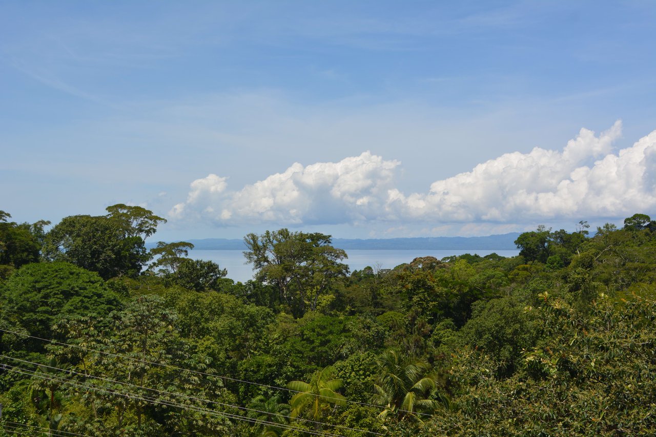 Osa Peninsula Los Mogos Magic Golfo Dulce Views 71 Acres