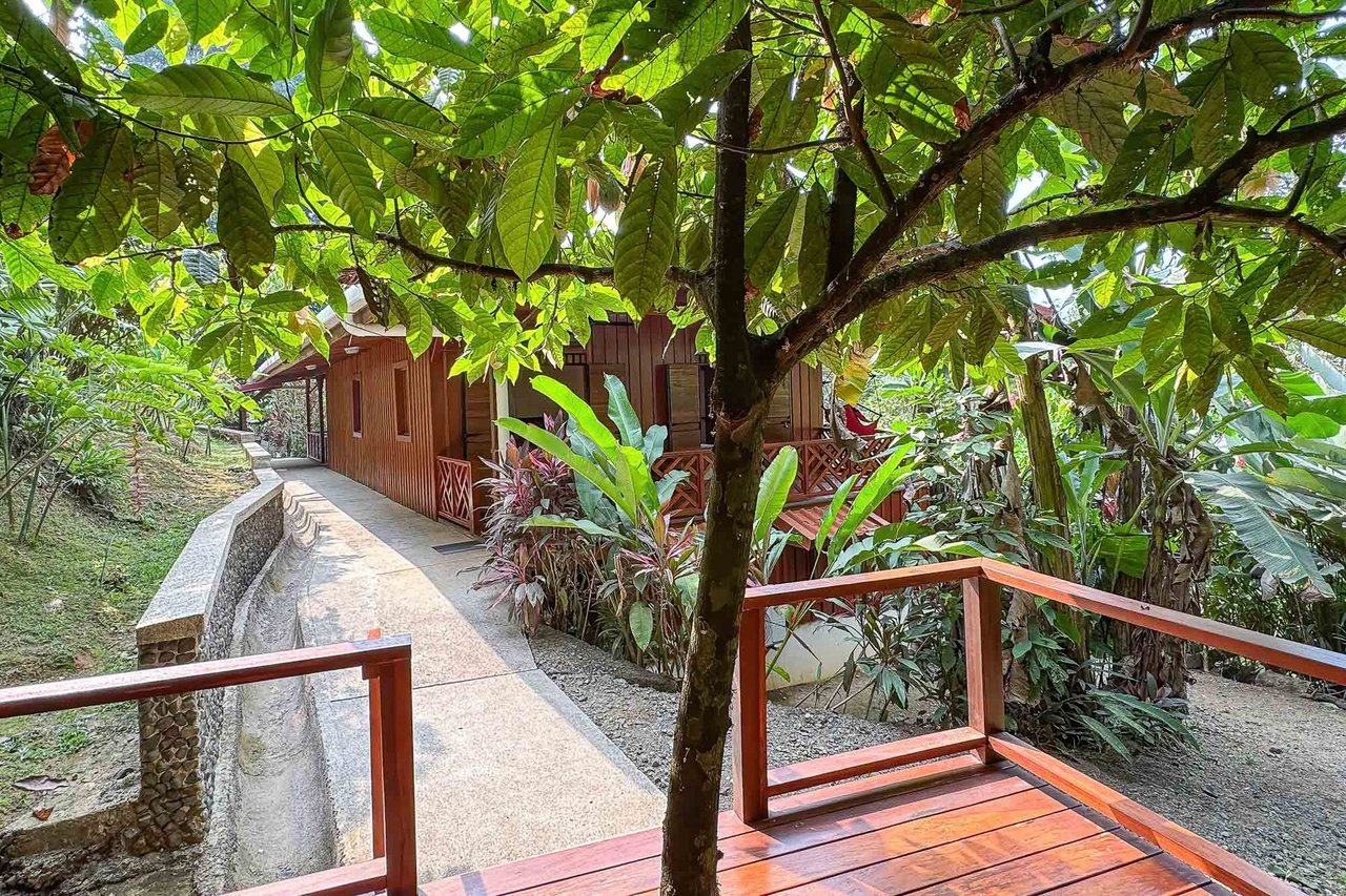Waterfall Beachfront Estate, Osa, Puntarenas