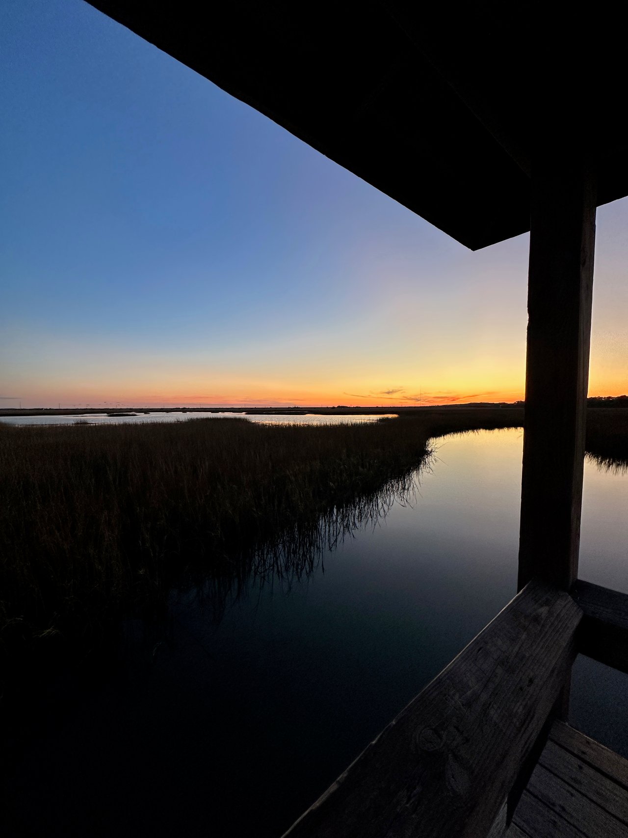 Is It a Good Time to Sell My Home in Charleston Right Now?