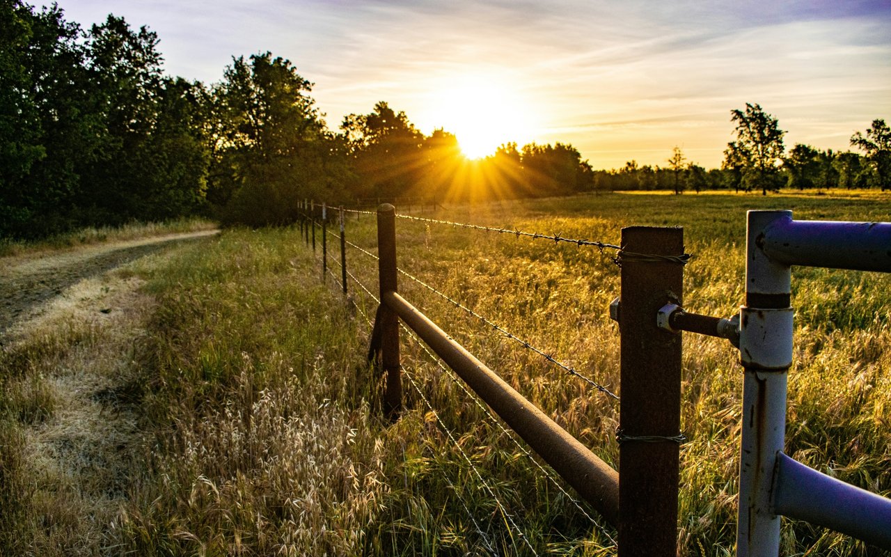 Maverick County Land