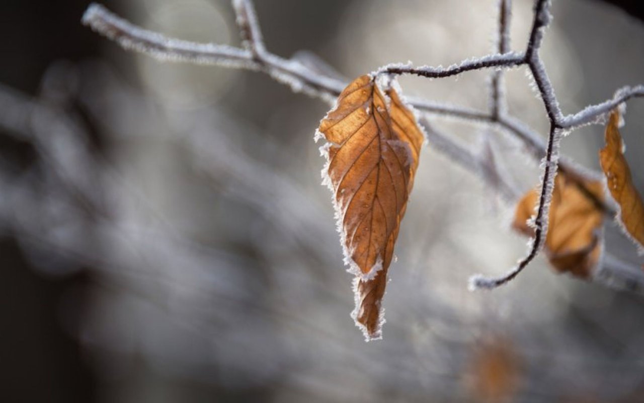 2018 Kicks Off with Record Low Temperatures