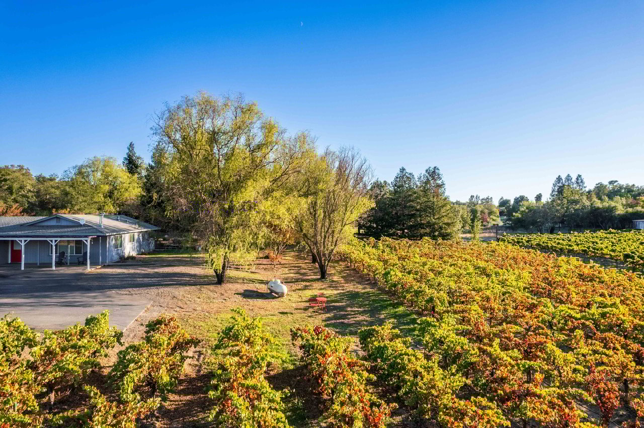 725 Lytton Station