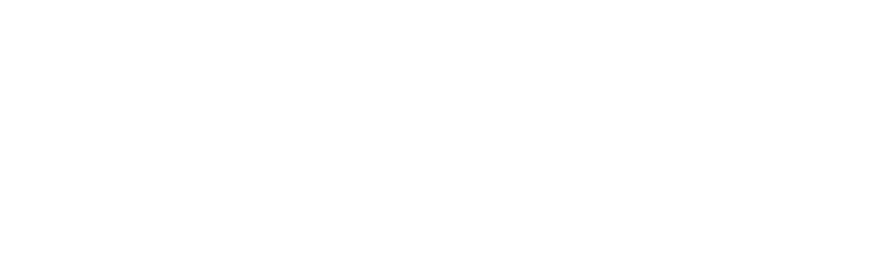 Light Logo