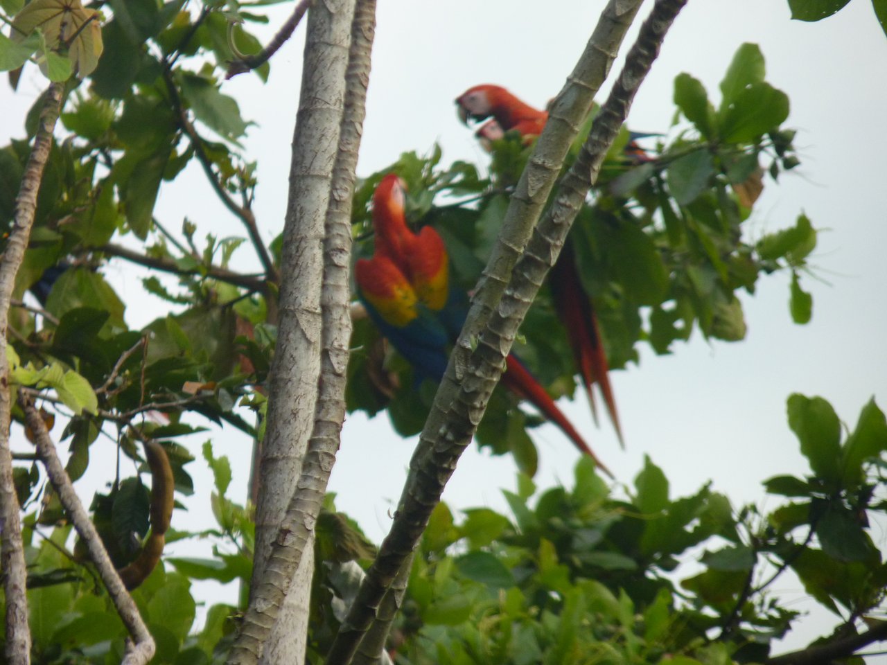 Casa Brisa de La Playa, 2 Bedroom Home Just Steps From the Beach!