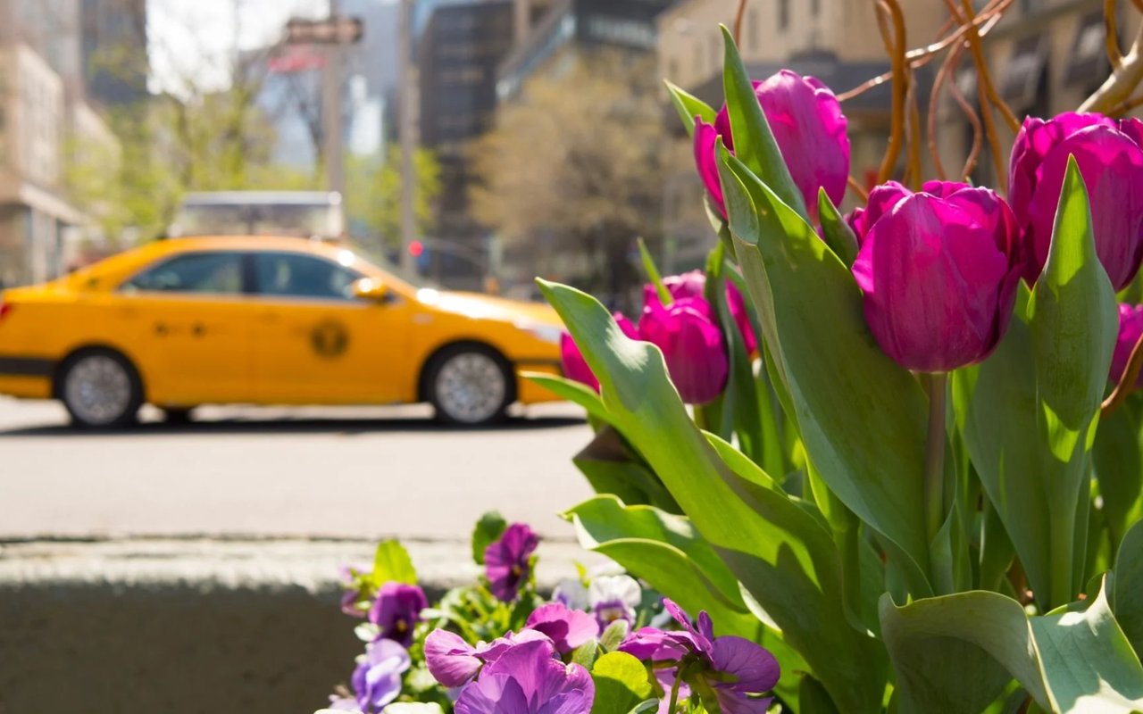 4 Smart Ways to Make Your Offer Stand Out in San Francisco This Spring