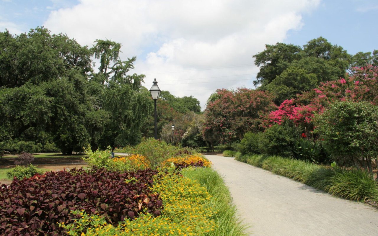 Explore Charleston Parks Like a Local