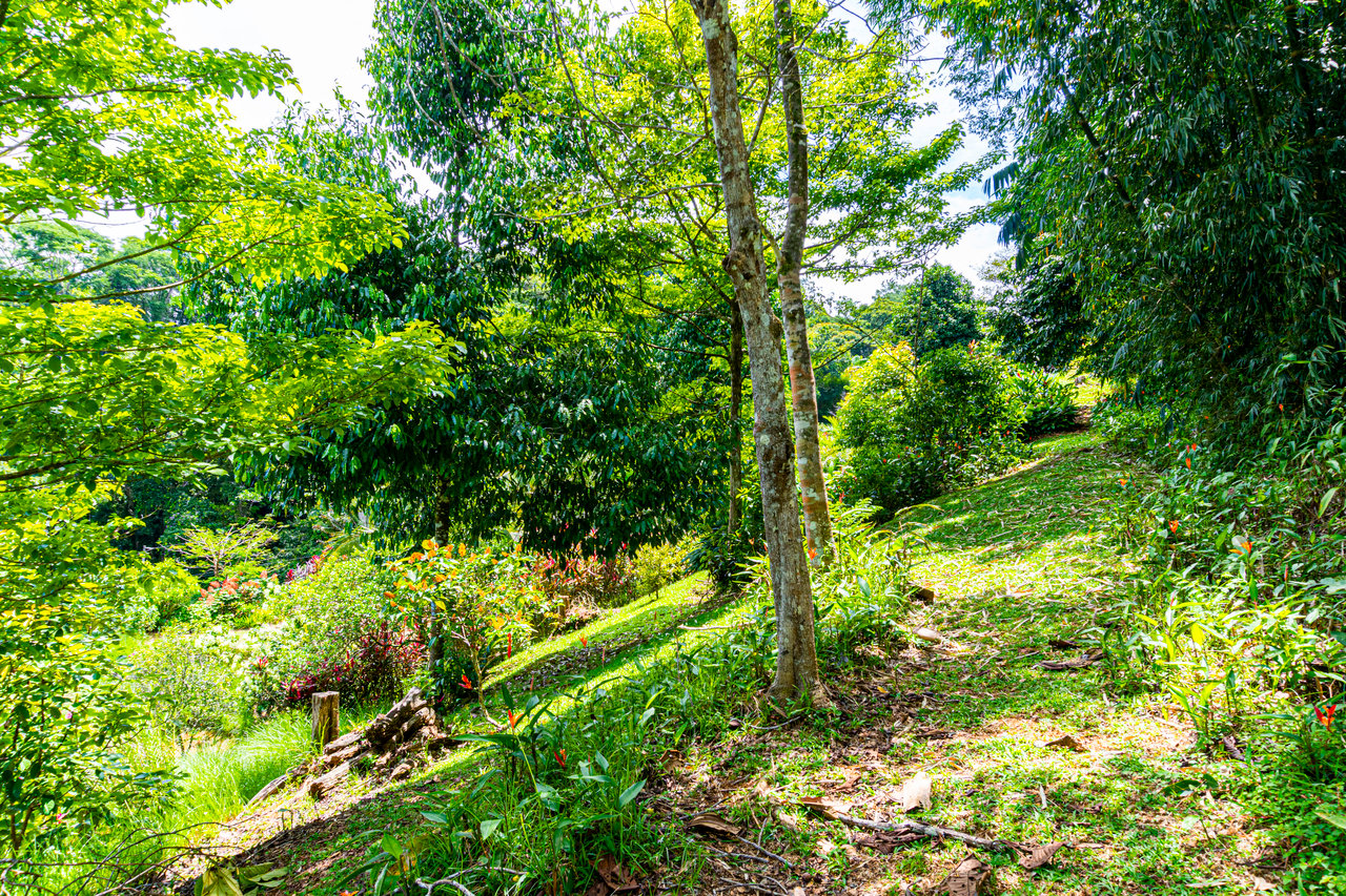 Casa Vista Hermosa