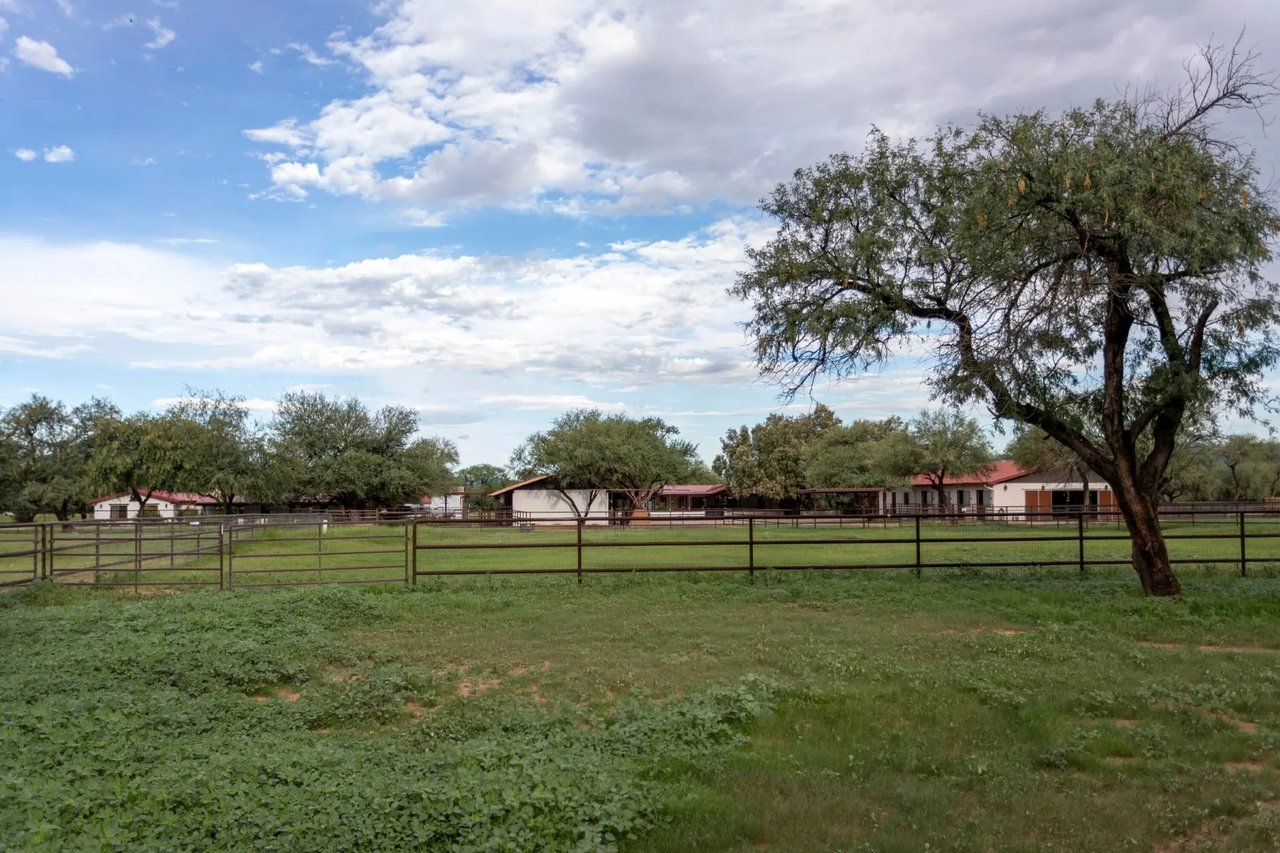 3155 W Elephant Head Rd