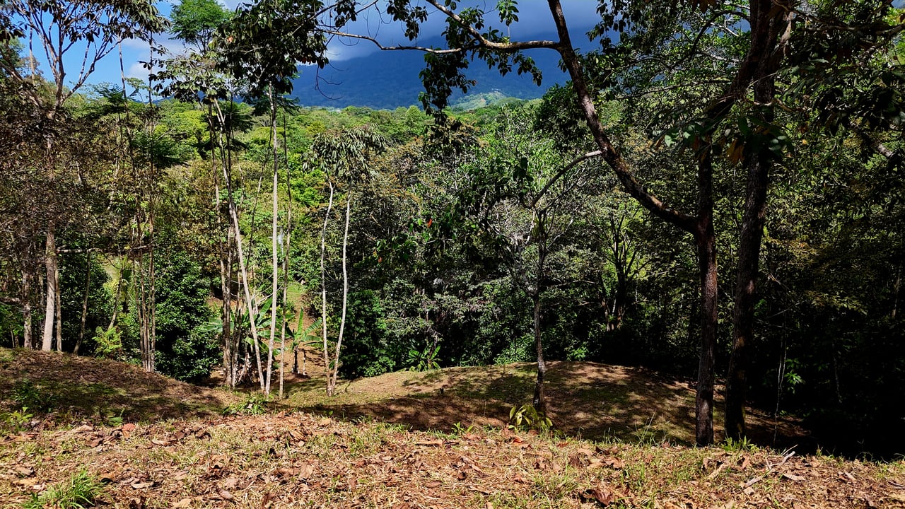 Beautiful mountain view land located in a quiet community in Ojochal. 