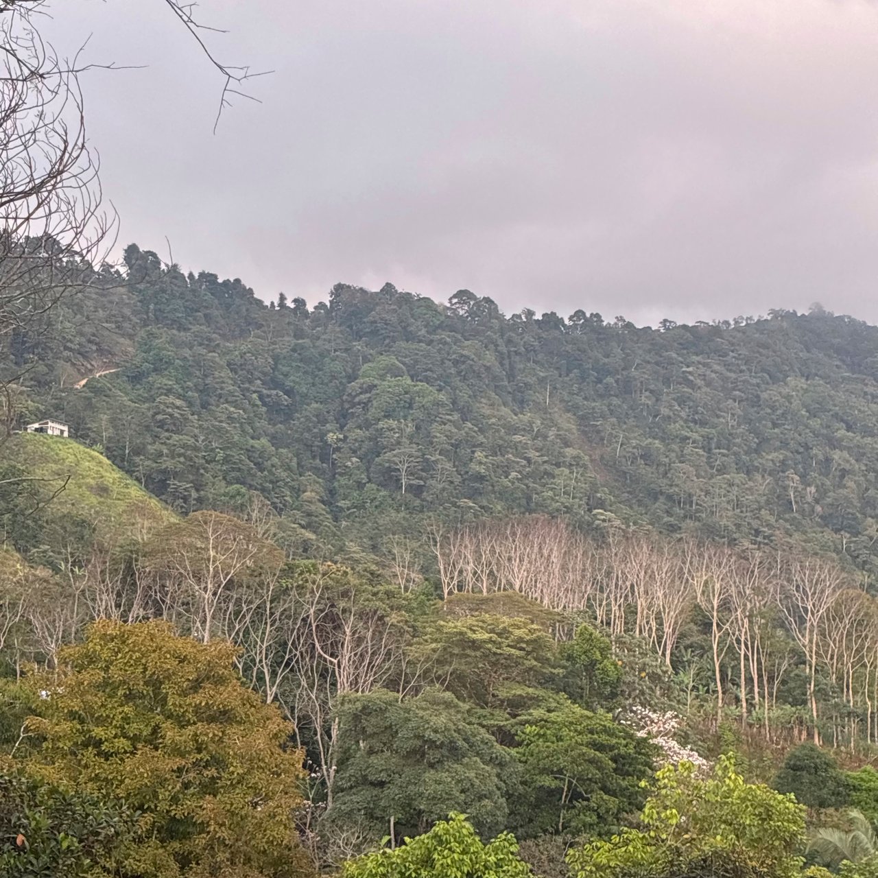 Ocean & Mountain View Lot with Multiple Building Sites-20 Minutes from Uvita