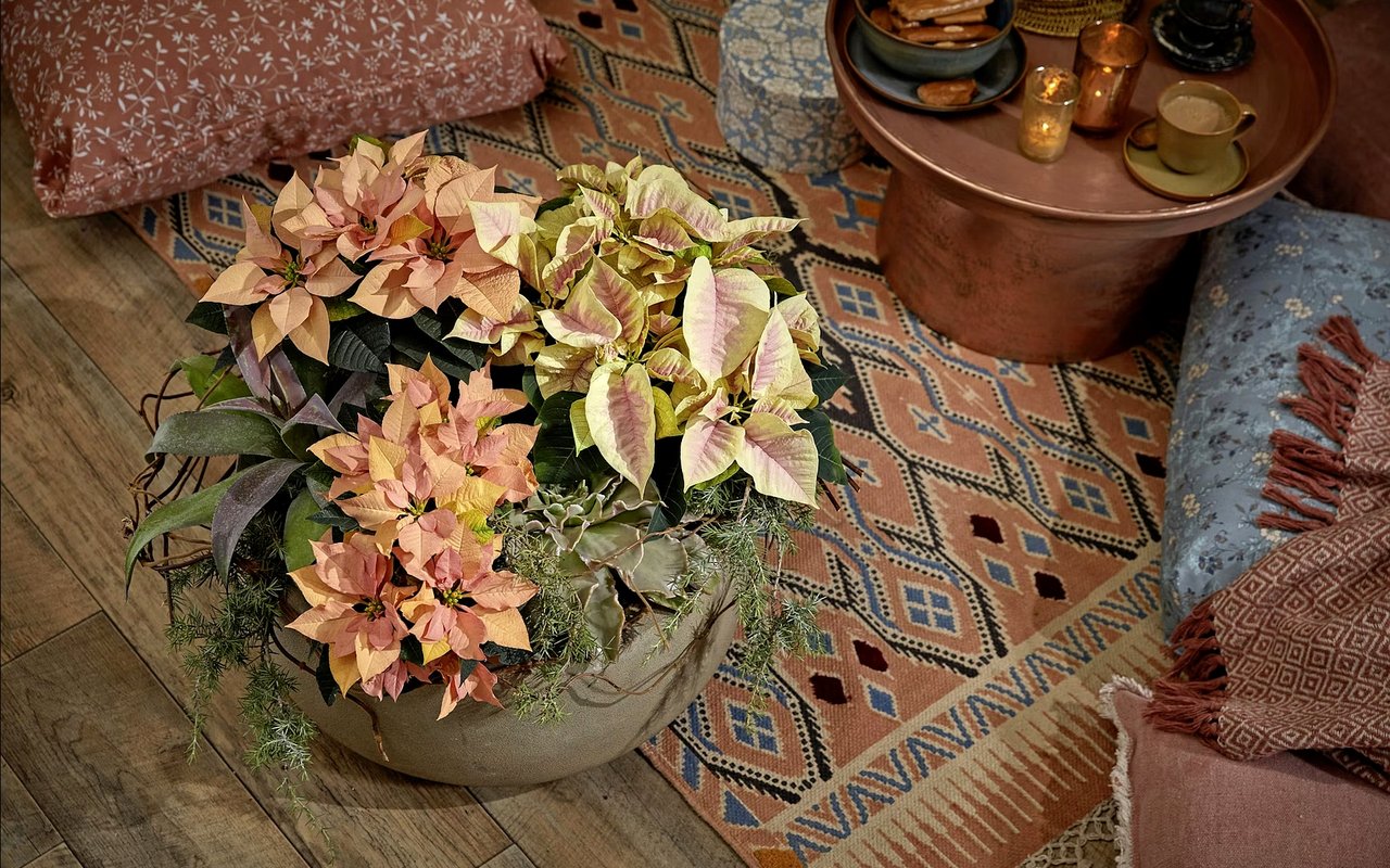 How to Decorate for Seasonal Transitions in Arlington